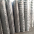 3/4"inch galvanized welded welded mesh small mesh wire mesh